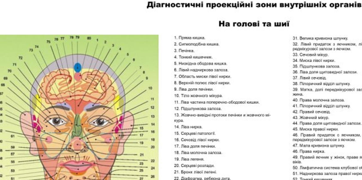 Анатомічний плакат &laquo;Судинна система людини&raquo;&nbsp; P0006 фото