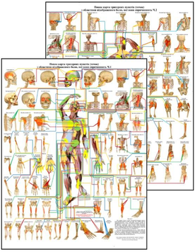 Комплект из двух плакатов Полная карта триггерных точек 86&times;67см P0065 фото