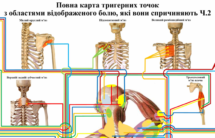 Комплект из двух плакатов Полная карта триггерных точек 86&times;67см P0065 фото