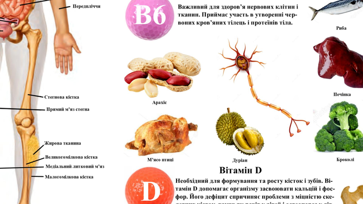 Плакат "Вітаміни та їх вплив на органи та системи людини"  P0067 фото