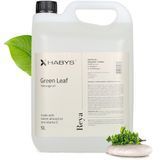 Массажное масло Reya Green Leaf Habys 5 л T-HIKOS005 фото