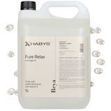 Массажное масло Reya Pure Relax Habys 5 л  T-HIKOS004 фото